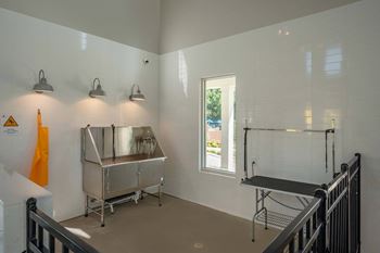 Dog spa with dryers